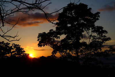 Silhouette trees against sky during sunset