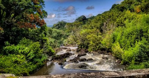Scenic view of waterfall in forest against sky