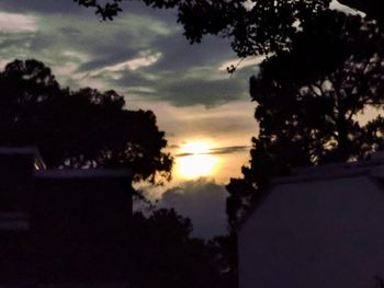 Low angle view of silhouette trees against sky at sunset