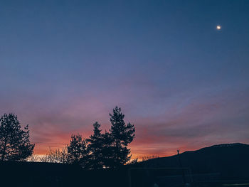 Silhouette trees against sky at sunset