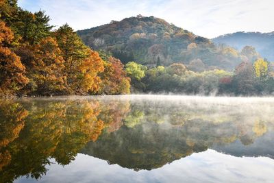 Reflection of trees on lake during autumn