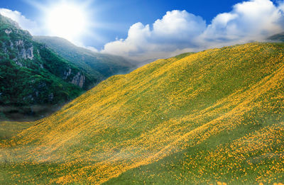 Scenic view of landscape against cloudy sky