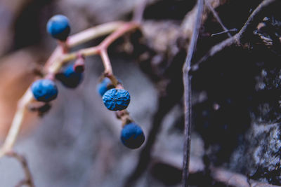 Close-up of blue fabric