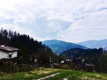 Houses by trees against sky