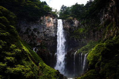 Scenic view of waterfall in forest