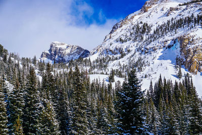 Low angle view of snowcapped mountain against sky