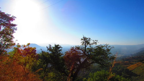 Scenic view of landscape against clear blue sky