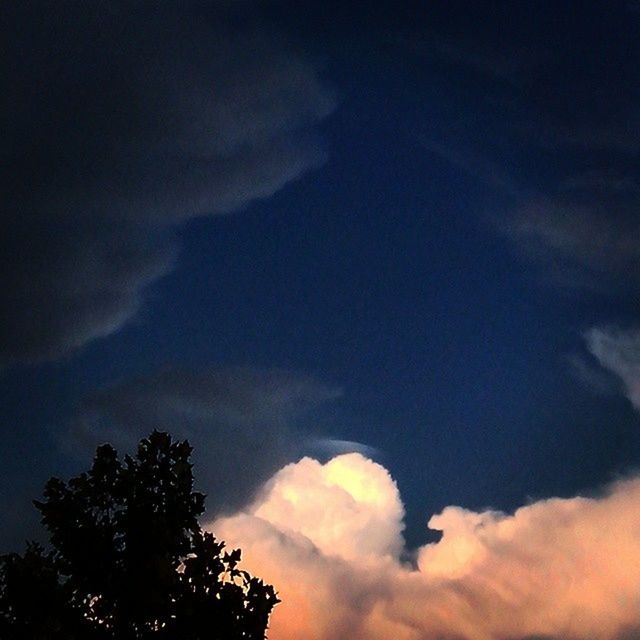 low angle view, sky, tree, cloud - sky, beauty in nature, silhouette, scenics, tranquility, tranquil scene, nature, cloudy, cloud, cloudscape, idyllic, sunset, treetop, dramatic sky, high section, outdoors, weather