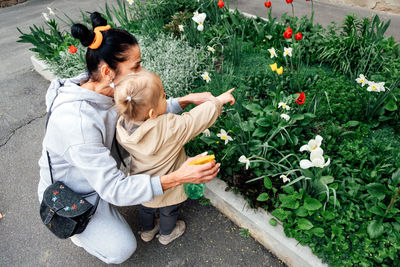 High angle view of woman picking plants