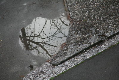 High angle view of wet street during rainy season