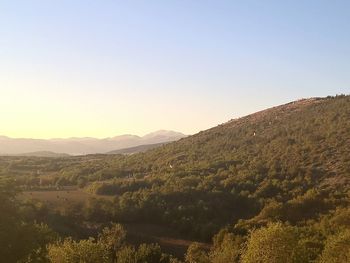 Scenic view of landscape against clear sky