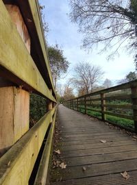 Footpath amidst trees against sky