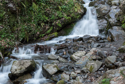 Scenic view of waterfall in forest