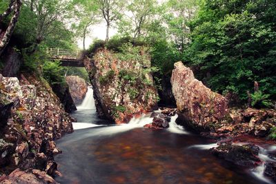 Scenic view of waterfall in forest