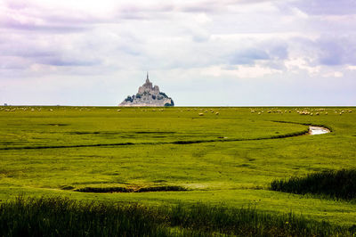 Scenic view of grassy field against sky