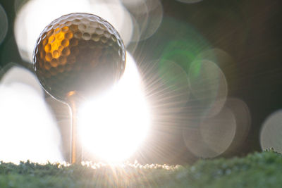 Close-up of ball on sunny day