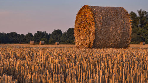 Hay bales on field against sky