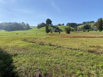 Scenic view of field against sky