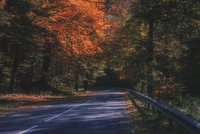 Road amidst trees in forest during autumn