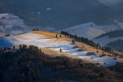 High angle view of snow covered land