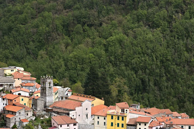 High angle view of townscape and trees in town