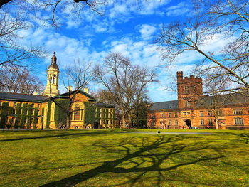 View of trees and buildings against sky