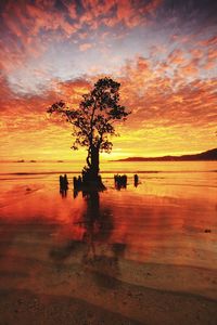 Silhouette tree by sea against orange sky