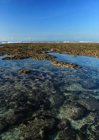 Green bowl beach jimbaran bali