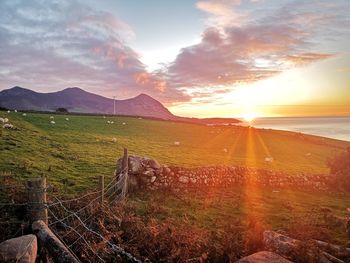 Scenic view of landscape against sky during sunset