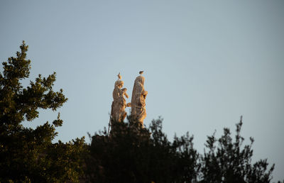 Low angle view of eagle perching on a tree