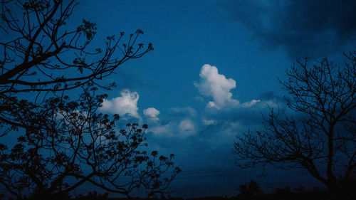 Low angle view of bare trees against blue sky