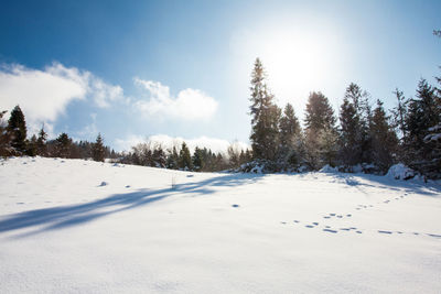 Scenic view of snow covered landscape against sky