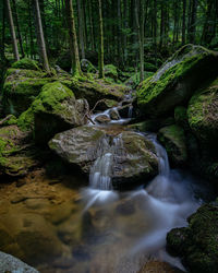 View of waterfall in forest
