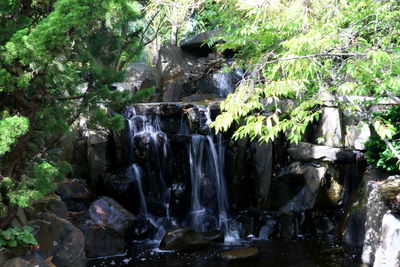 View of waterfall in forest