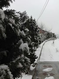 Trees on snow covered landscape against clear sky