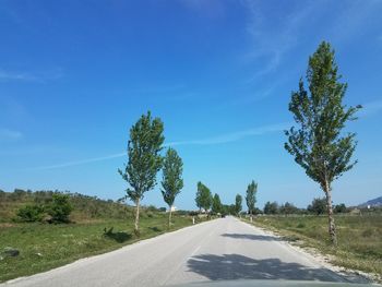 Road amidst trees against sky