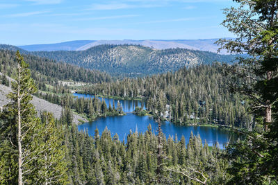 Scenic view of lake by trees in forest against sky