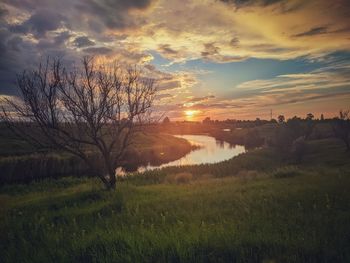 Scenic view of field against sky during sunset