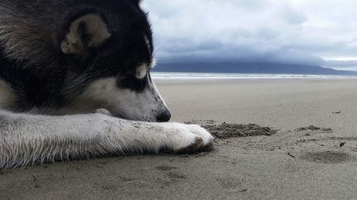 View of beach against cloudy sky