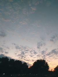 Low angle view of silhouette trees against sky at sunset