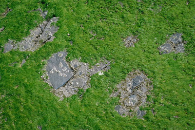 High angle view of rocks on land