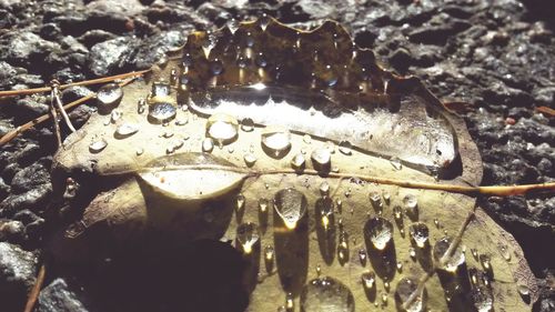 Close-up of water