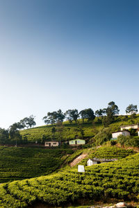 Built structures on countryside landscape