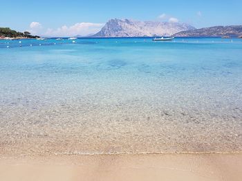 Scenic view of sea against blue sky