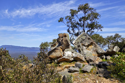 Rock formation on tree against sky