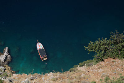 People swimming in sea