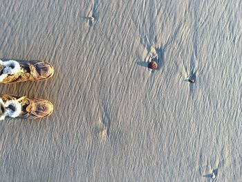 High angle view of sand on beach