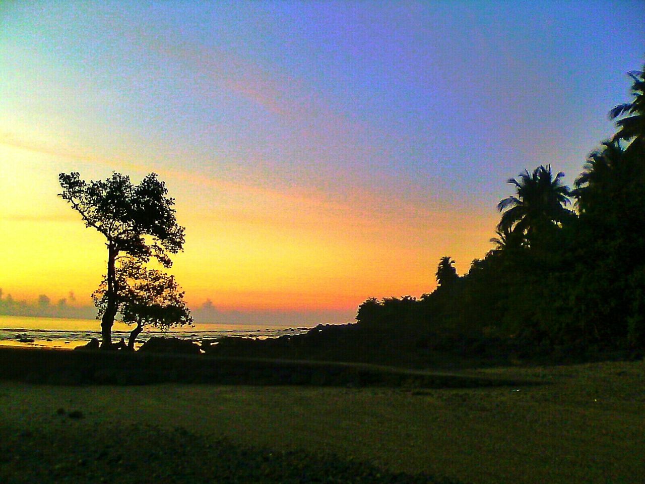 sunset, tranquil scene, scenics, tranquility, beauty in nature, silhouette, orange color, tree, sky, sea, water, nature, horizon over water, idyllic, sun, copy space, landscape, beach, palm tree, growth