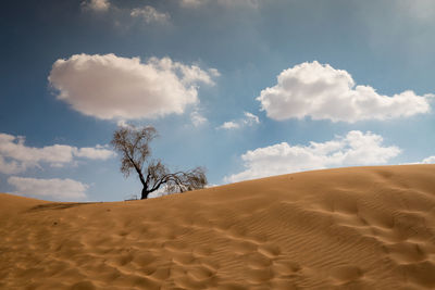 Scenic view of desert against sky