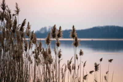 Scenic view of lake against sky during sunset